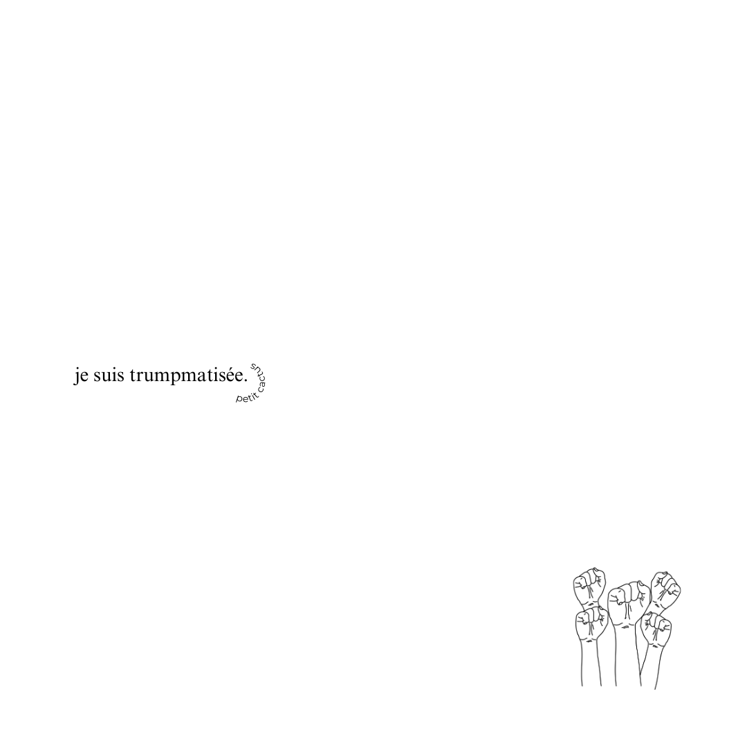 trumpmatisée