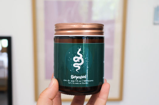 Ça sent le gel à cheveux de Draco Malfoy - Serpentard 🐍