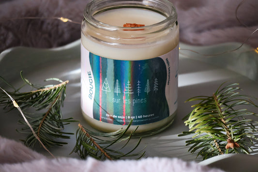 Sur les pines - Bougie (SAPIN BEAUMIER🌲)